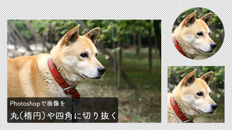 Photoshop逆引き辞典 ｜デザインを深掘り MdN