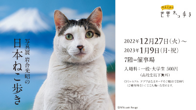 岩合光昭　ねこ歩き展　サイン入り額装写真　猫　犬　写真 茂木・ふみの森に心和むネコたちの写真140枚 岩合光昭さんが写真