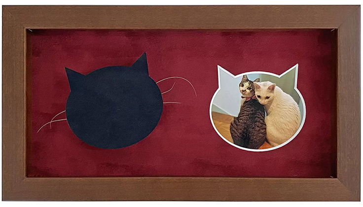 猫のヒゲを大切に飾れる専用の額縁「猫ひげフレーム」が登場
