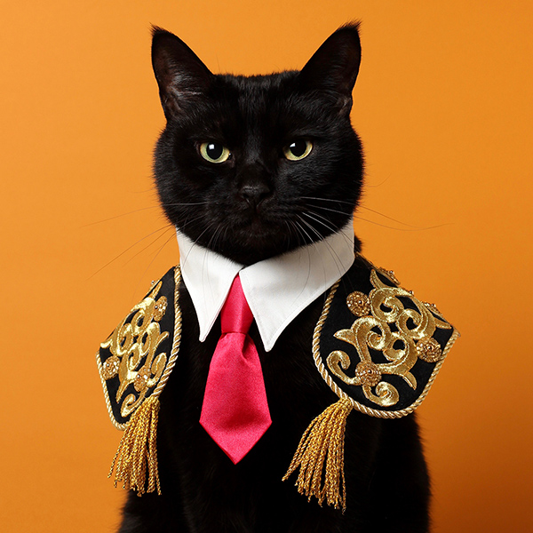 2月22日は猫の日！猫×デザイン特集「“黒猫のアートな首輪”制作者