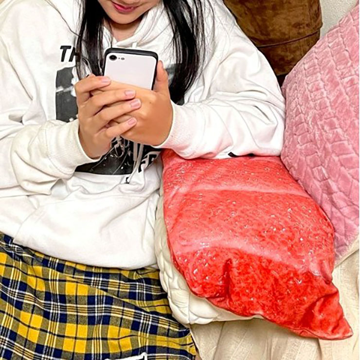 ヴィレヴァン、お寿司をリアルに表現したクッション「OH!寿司