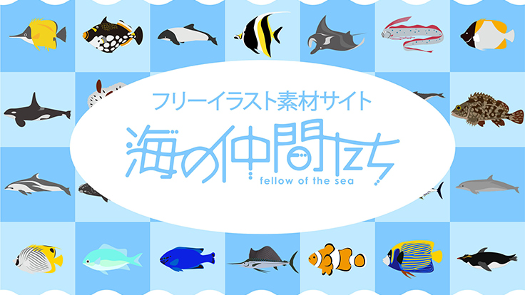 海の生き物のイラスト素材集 海の仲間たち がサービス拡充 ニュース ニュース デザインってオモシロイ Mdn Design Interactive