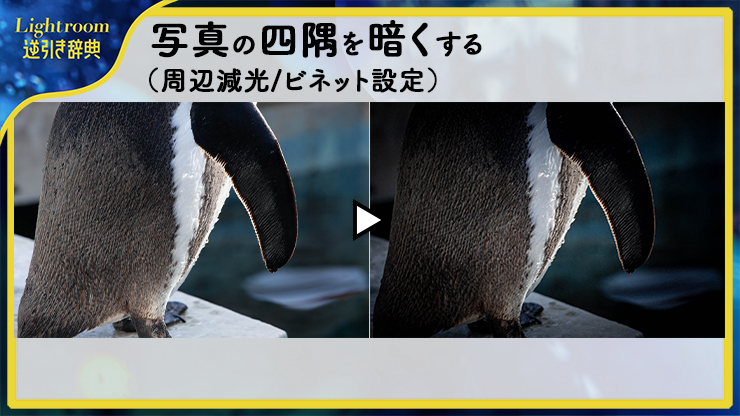 Lightroomで写真の四隅を暗くした（周辺減光／ビネット設定）写真の比較