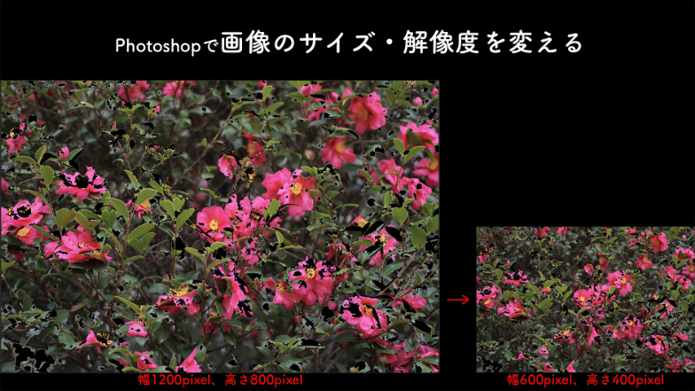 Photoshop逆引き大全450の極意 | 茂木 葉子 |本 | 通販 | Amazon