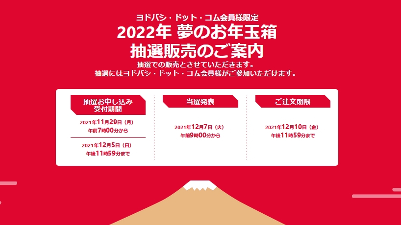 Panasonic - ヨドバシカメラ☆夢のお年玉箱☆デジカメ・プリンターの夢☆未開封新品 ヨドバシカメラ 2022年 夢のお年玉箱 ニンテンドースイッチの夢
