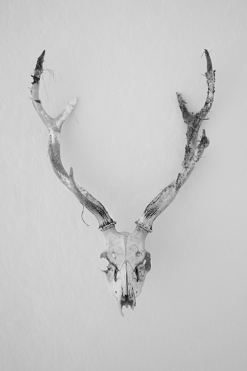 モノクロ表現にこだわって北海道の最果ての地で撮影した小澤太一氏の