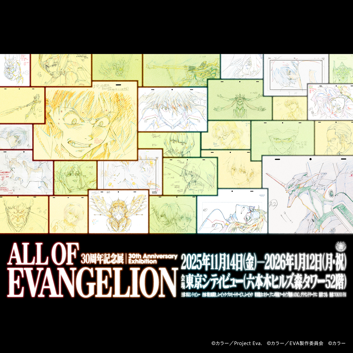 小売 エヴァンゲリオン30周年記念展 公式図録 ハードカバー 全面密封品