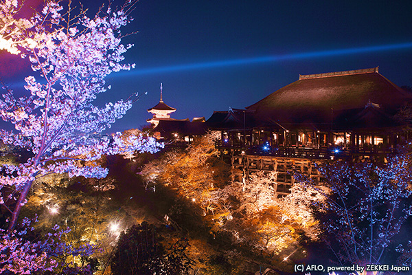 日本を象徴する建物や景色を3つ以上同時撮影できる「奇跡のトリプル