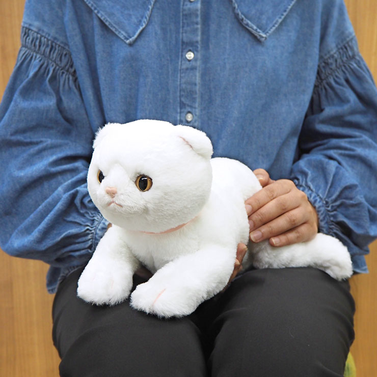 ヴィレヴァン、ふわふわ手触りの「ひざねこ極もふ」スコティッシュ