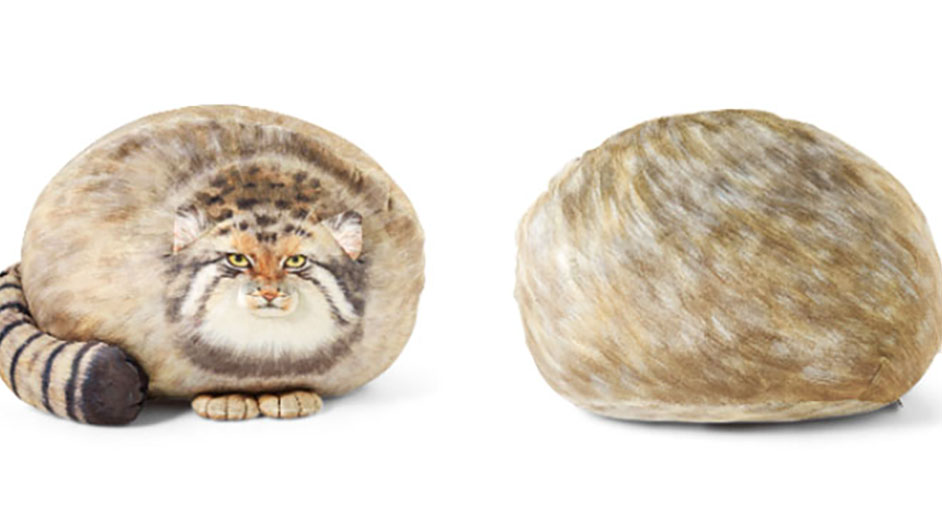 フェリシモ、丸すぎる世界最古の猫マヌルネコを再現「もっちり 
