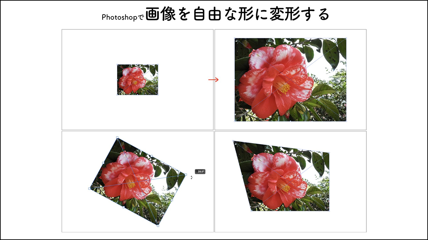 Photoshopで画像を自由な形に変形する 変形 Photoshop逆引き辞典 デザインってオモシロイ Mdn Design Interactive