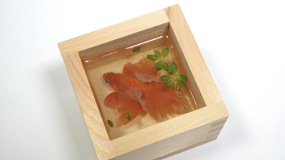 毎年余魚が併んで現代簡約酒櫃家庭装飾品を飾ります 4c982a00-6365-4189-81bf-