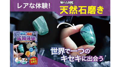 4dbd53bd-d97a-4430-b94d-