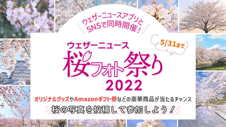 エリアごとに桜の写真や動画を募集する ウェザーニュース アプリの 桜絶景写真コンテスト アート イベント ニュース デザインってオモシロイ Mdn Design Interactive
