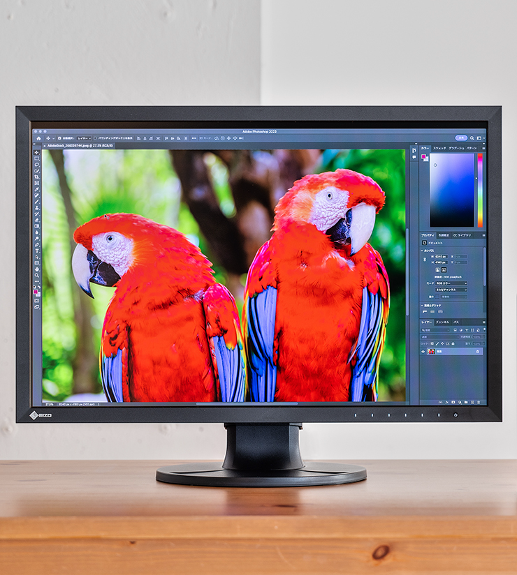 EIZOモニターのColorEdge CS2400Rで赤い鳥を表示して色再現の良さを確認しているところ