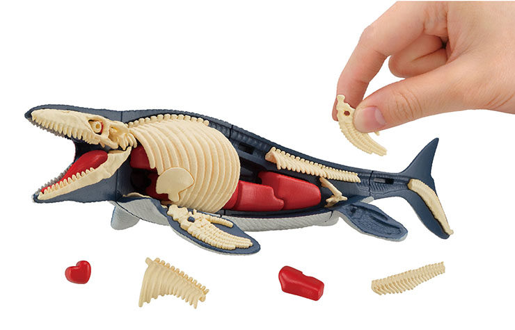 メガハウス、生体と化石の2通りの見た目を楽しめる「モササウルス復元