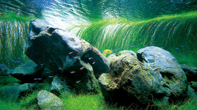 778aab34-5afb-41c6-9e08-