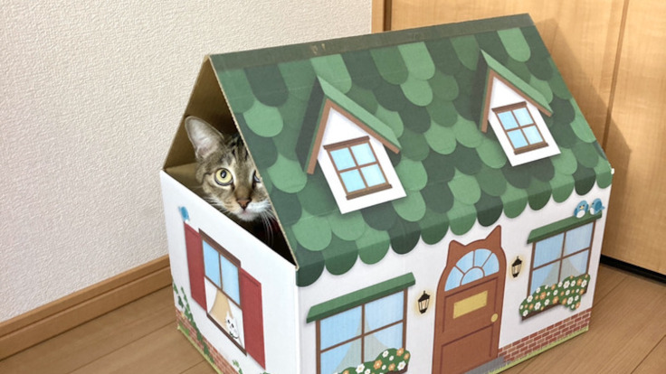 アースダンボール、発送箱としても使える「三角屋根の猫の家」を発売