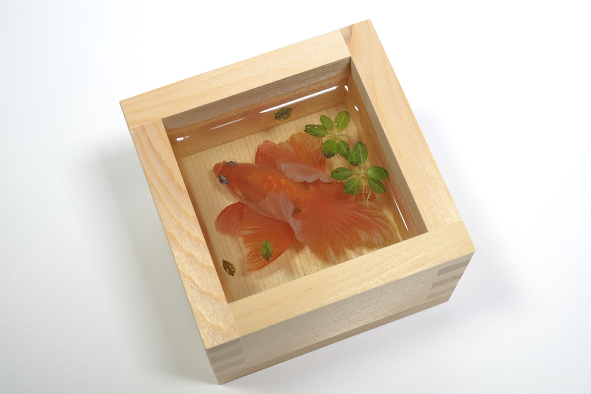 銀座 蔦屋書店で、代表シリーズ金魚酒の作品などで知られる深堀隆介氏