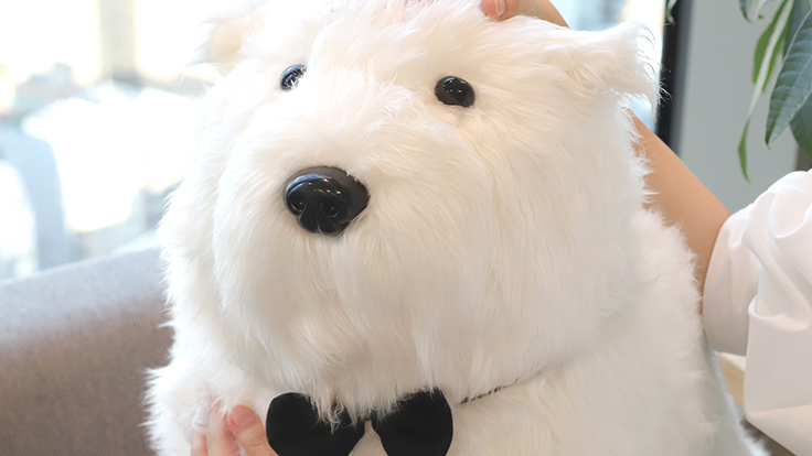 SPY×FAMILY」の犬のボンドのぬいぐるみがヴィレヴァンオンラインに登場