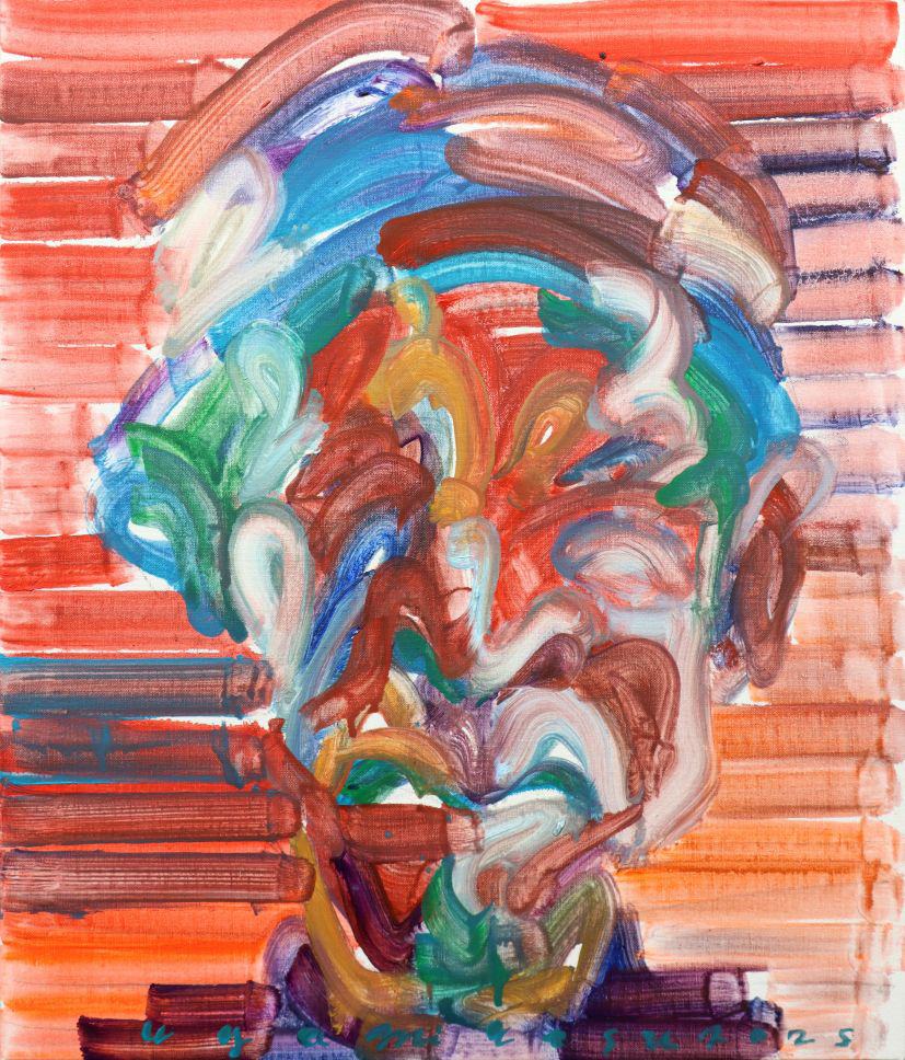 江上越 どんぐりプロジェクト アート作品 若くして世界的に活躍している現代美術家・江上越氏による新作個展