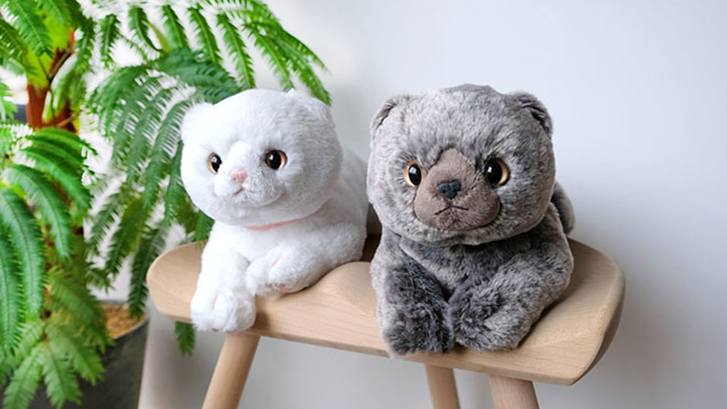 ヴィレヴァン、ふわふわ手触りの「ひざねこ極もふ」スコティッシュ