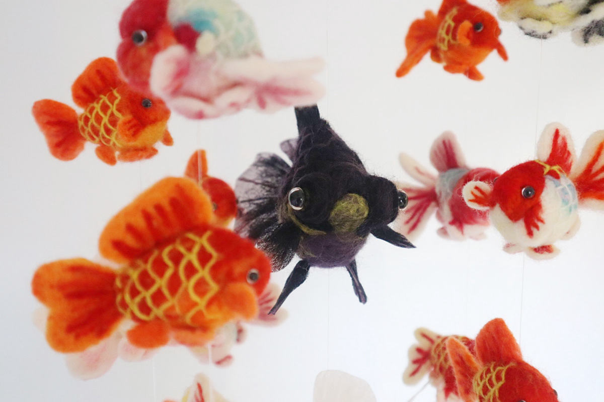 金魚絵師・深堀隆介氏が監修する「金魚美抄2024」とのコラボが実現した