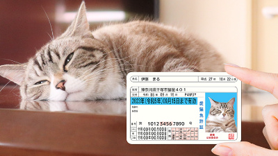 c91186d9-c8d6-4b34-b43e-