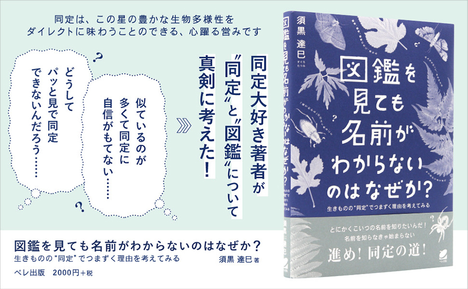 DESIGN DIGEST】映画ポスター『偶然と想像』、書籍カバー『図鑑を見ても名前がわからないのはなぜか？ ――生きものの“同定”でつまずく理由を 考えてみる／須黒達巳』 ｜デザインを深掘り MdN