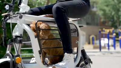 ce15a561-eae4-43f7-a0b7-