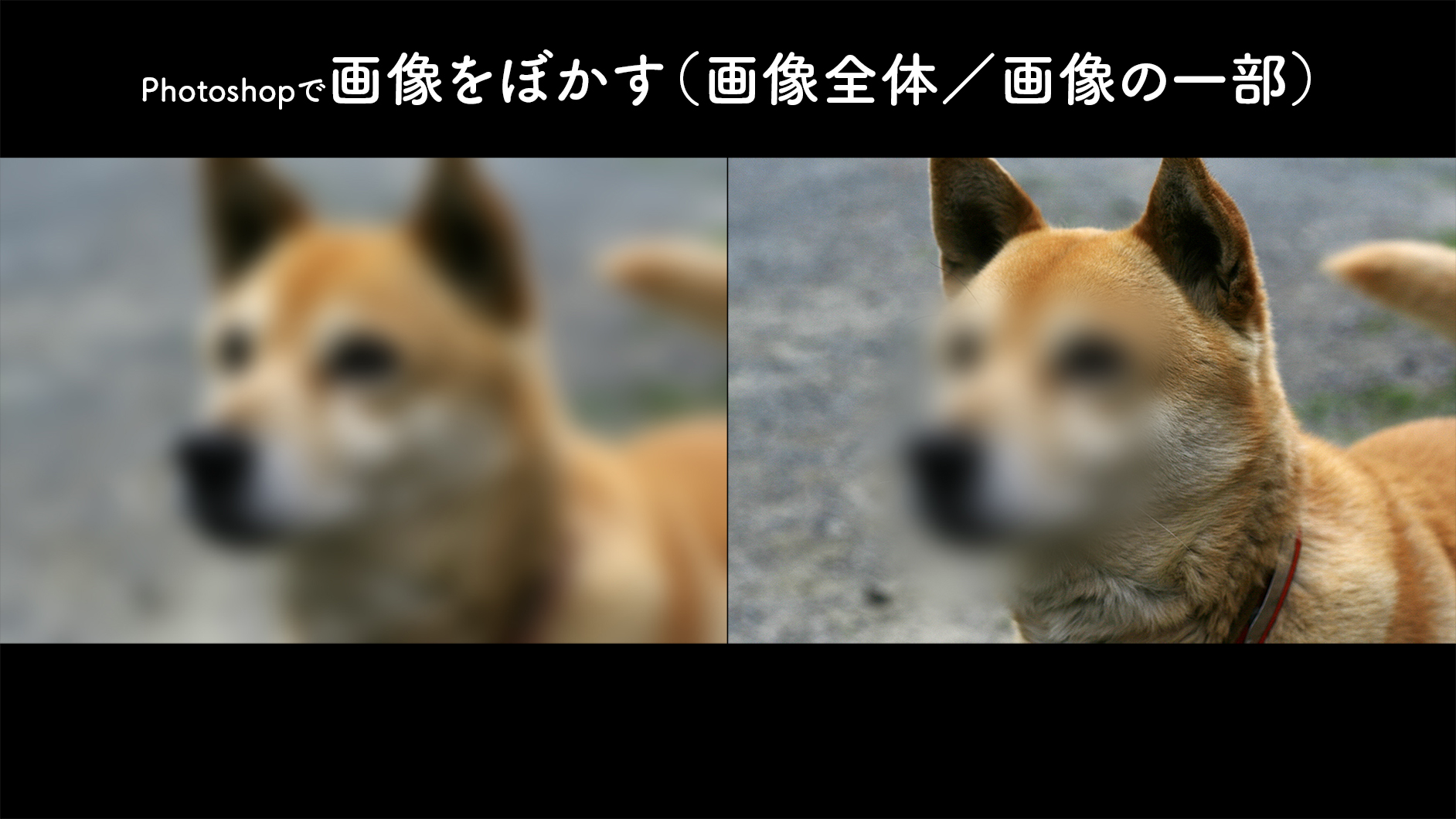 Photoshopで背景を伸ばす（背景が足りない場合の対処法）変形 