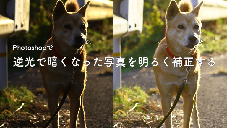 Photoshopで逆光を演出する レンズフレアをつける レタッチ Photoshop逆引き辞典 デザインってオモシロイ Mdn Design Interactive