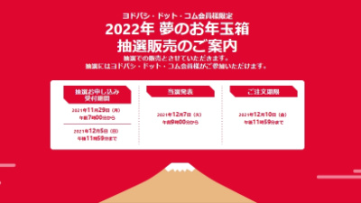 ヨドバシが「夢のお年玉箱」発表。すでにビデオカメラは倍率757倍