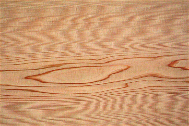 Photoshopでリアルな焼印を表現する Photoshopド定番チュートリアル デザインする デザインってオモシロイ Mdn Design Interactive