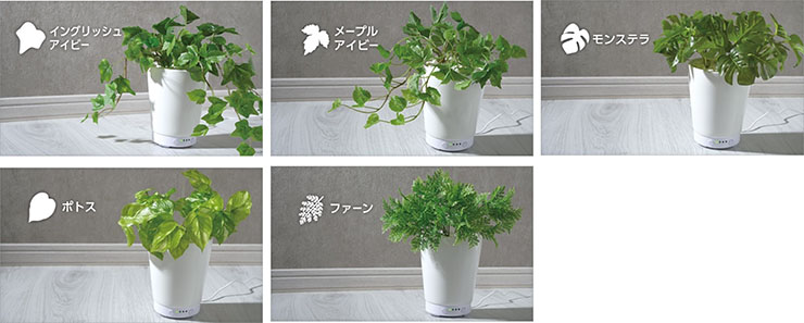 ライソン、人工観葉植物付きのアロマディフューザー「GREEN AROMA MIST