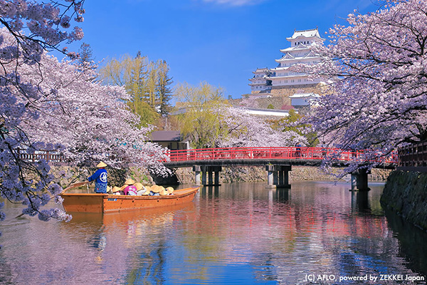 日本の風景 71vylCf7-6L._UF350,350_QL50_.jpg
