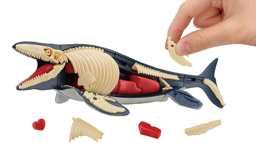 メガハウス、生体と化石の2通りの見た目を楽しめる「モササウルス復元