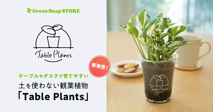 GreenSnap、デスクで簡単に育てられる観葉植物Table Plantsを発売